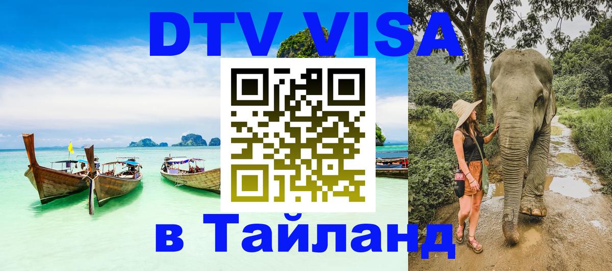 Сколько стоит DTV виза — актуальные цены, оформление даже без документов - 